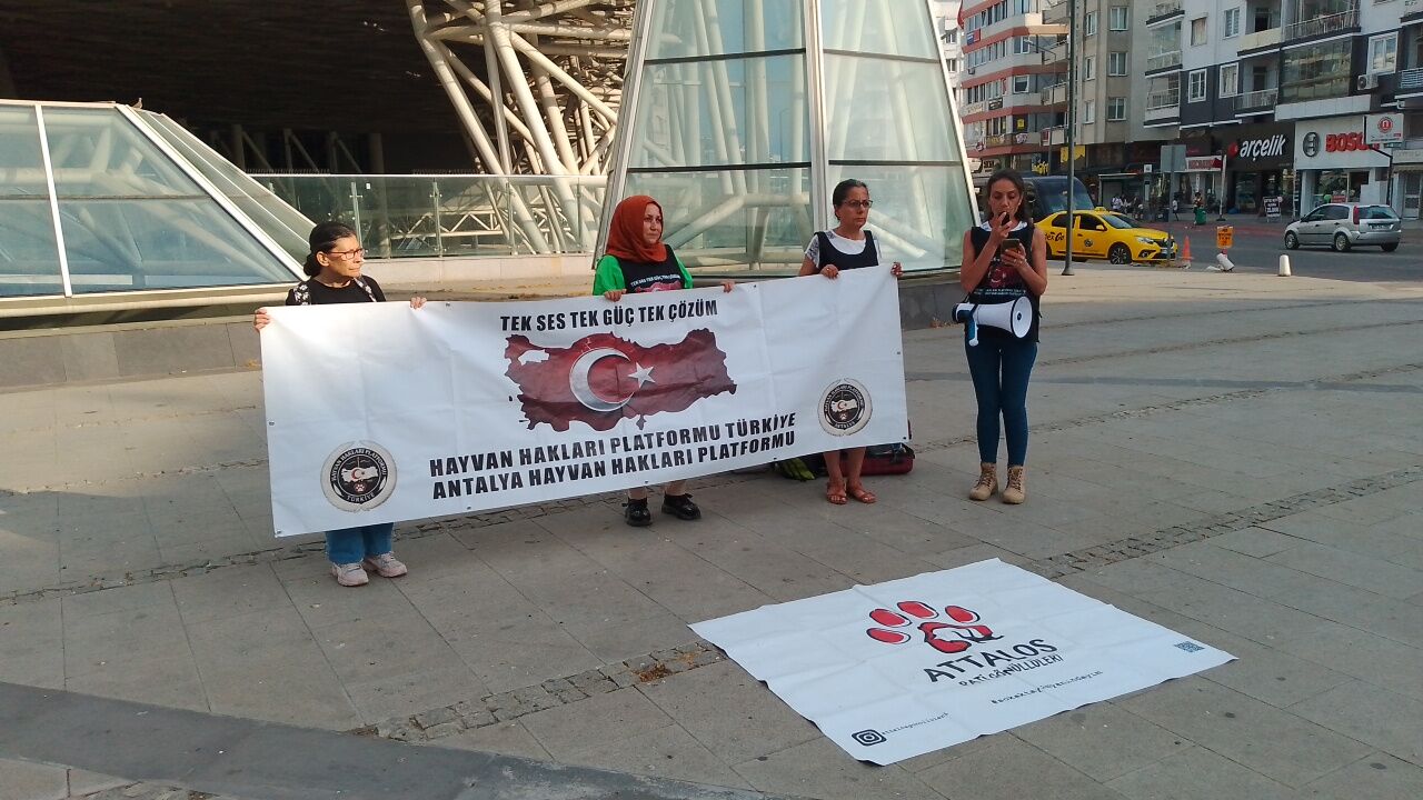 Antalyada Kus Olumlerine Karsi Vicdan Cagrisi (1)