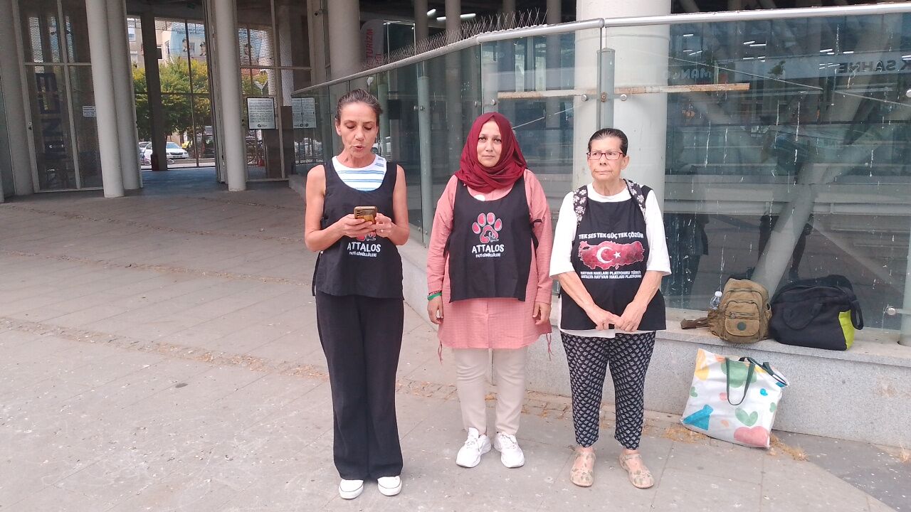 Antalyada Olum Tuzaklarina Tepkiler Cig Gibi Buyuyor (1)