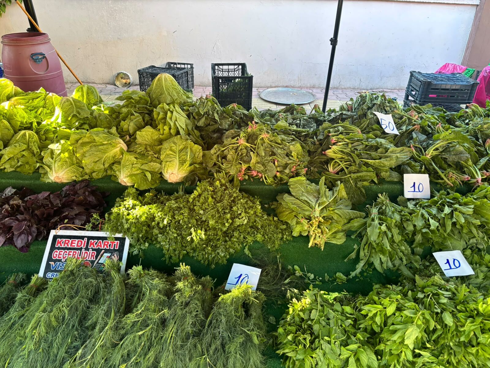 Antalya’da Pazar Fiyatları Marketleri Geride Bıraktı (3)