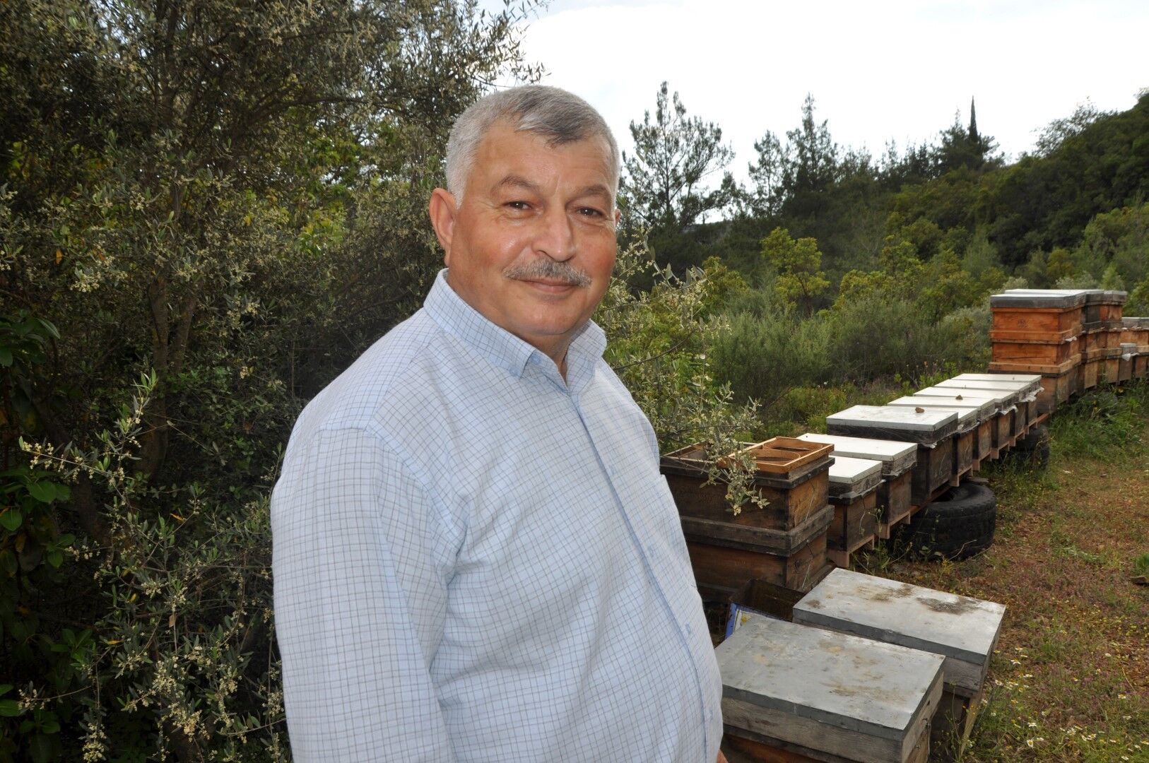 Antalya’daki ‘Acı Bal’ın Fiyatı Duyanları Şaşırttı (7)