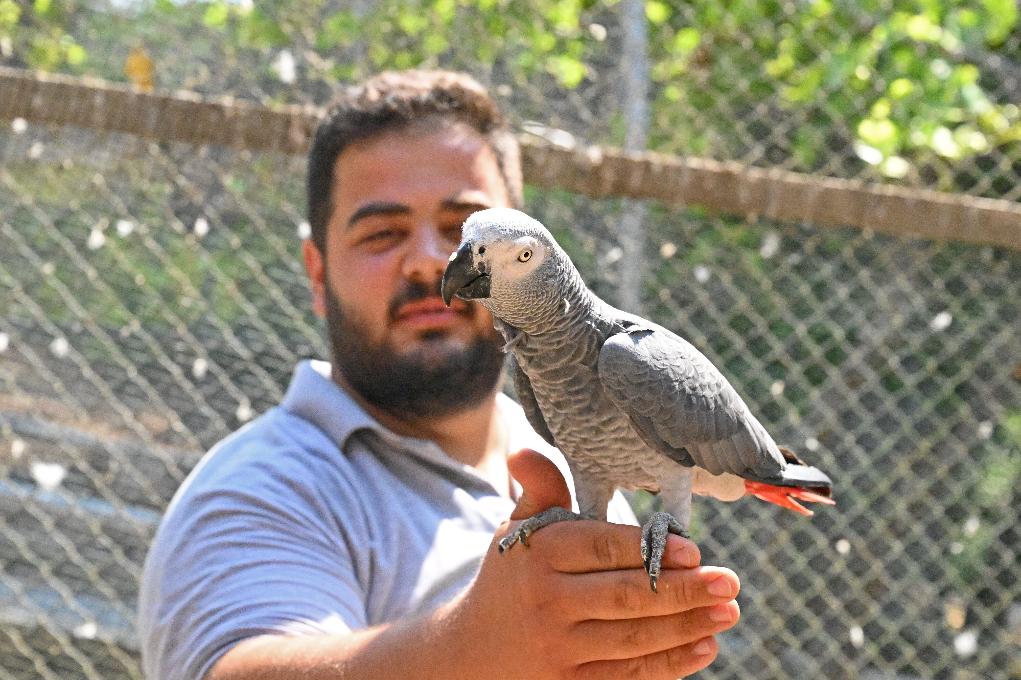Antalya’daki Doğal Yaşam Parkı Yeni Yavrularla Şenlendi (5)