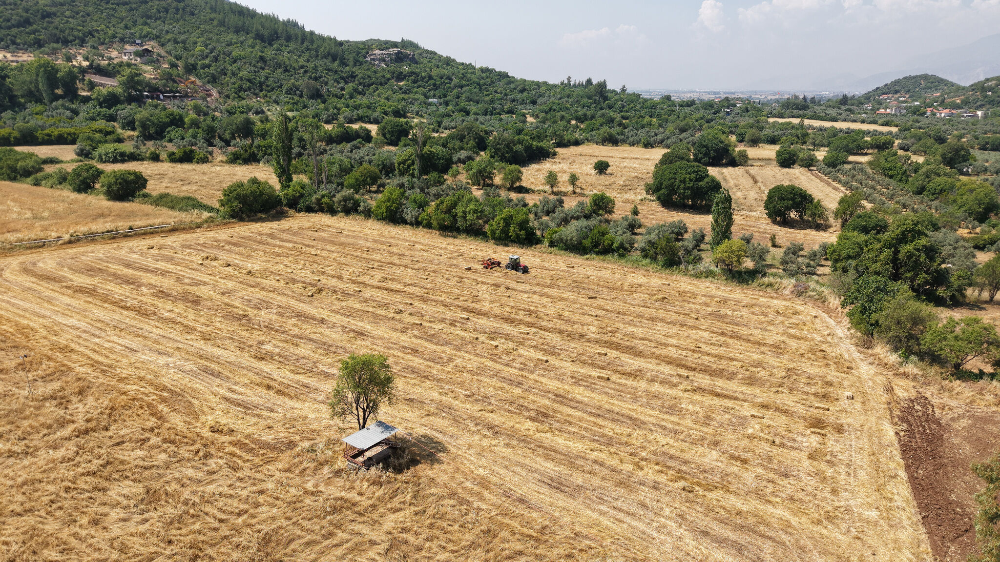 Antalya’daki Halıların Güneşlenme Sezonu Başladı (4)