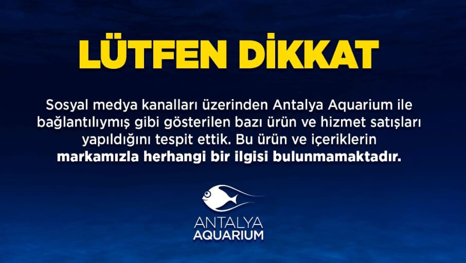 Antalya’dan Suç Duyurusu! Akvaryum Ve Avm’ler Üzerinden Dolandırıcılık Çağrısı (3)
