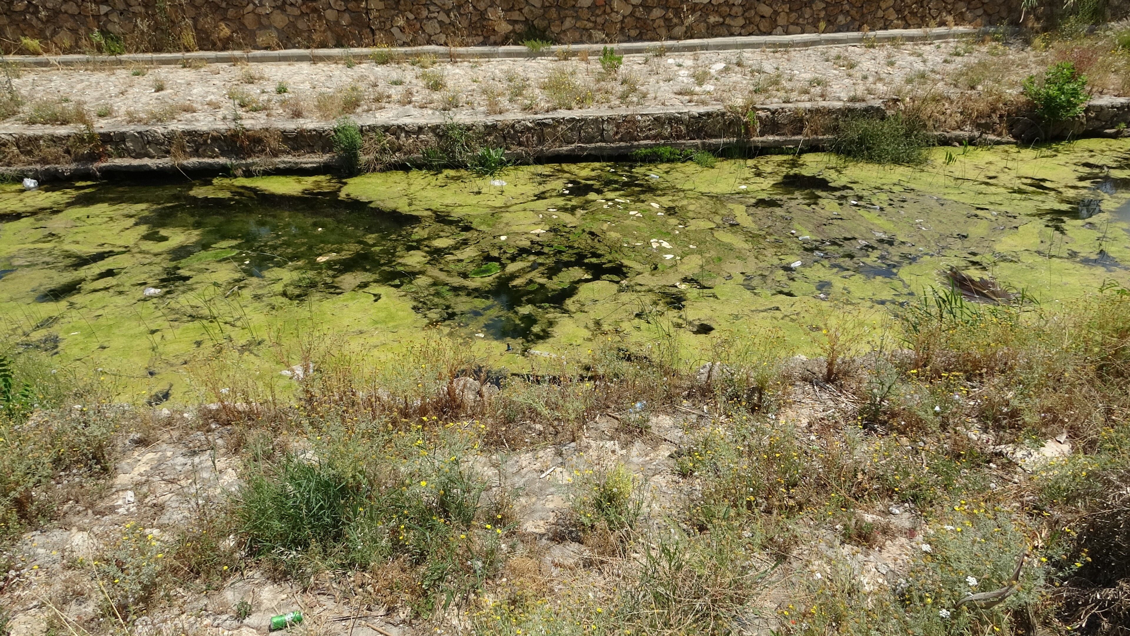 Antalya’dan Tatlı Su Uyarısı (3)