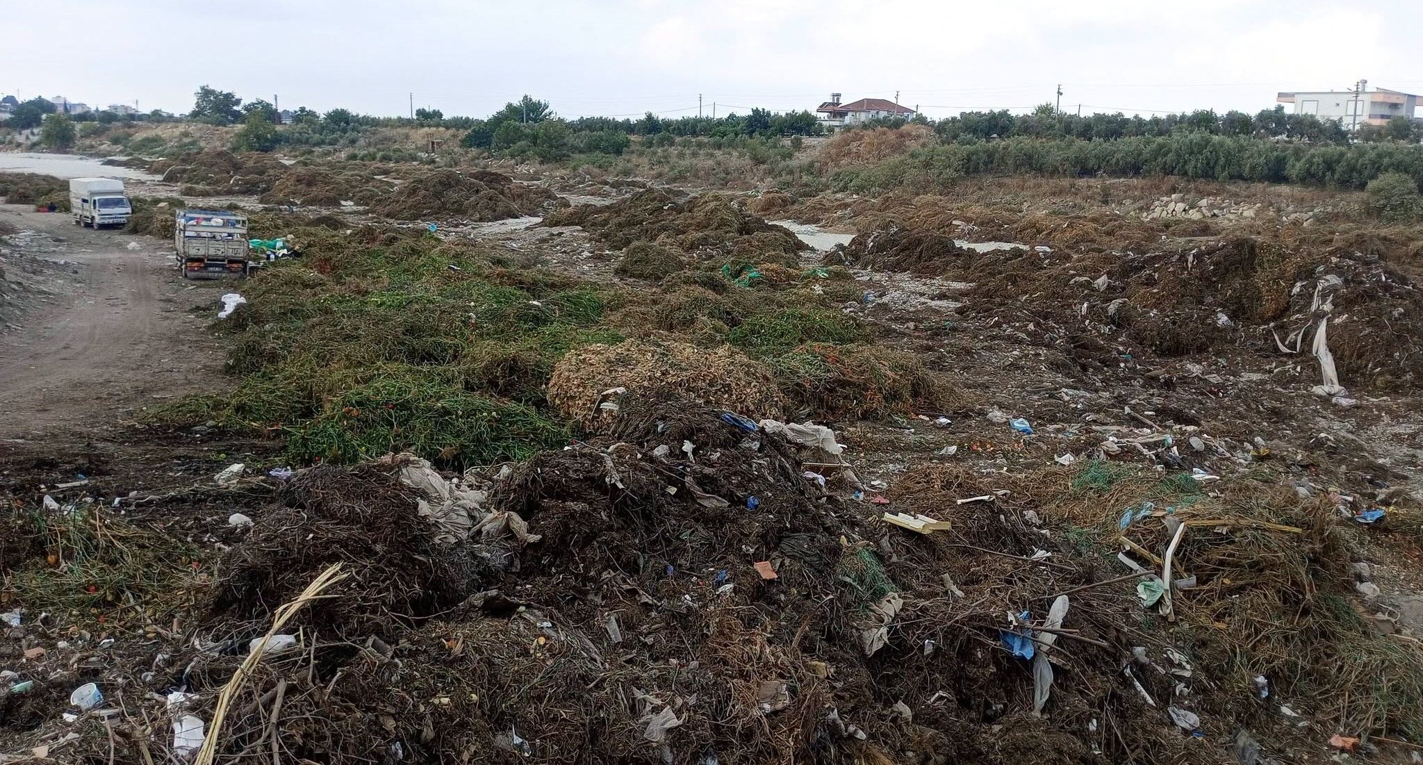 Antalya’nın En Güzel Ilçesine Sera Darbesi (1)111