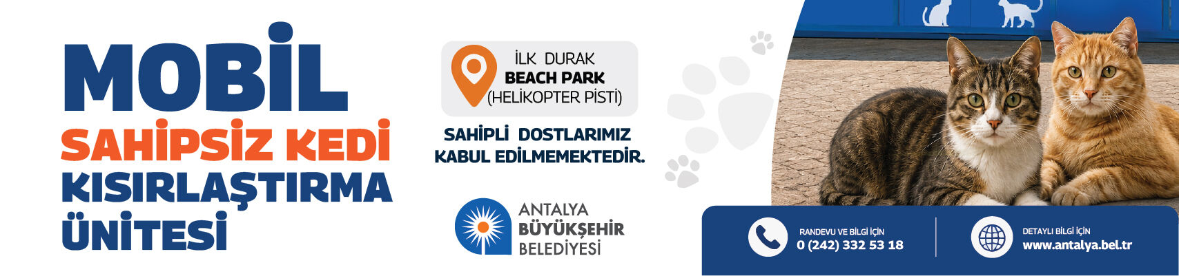 Kedi Banner 1280X300