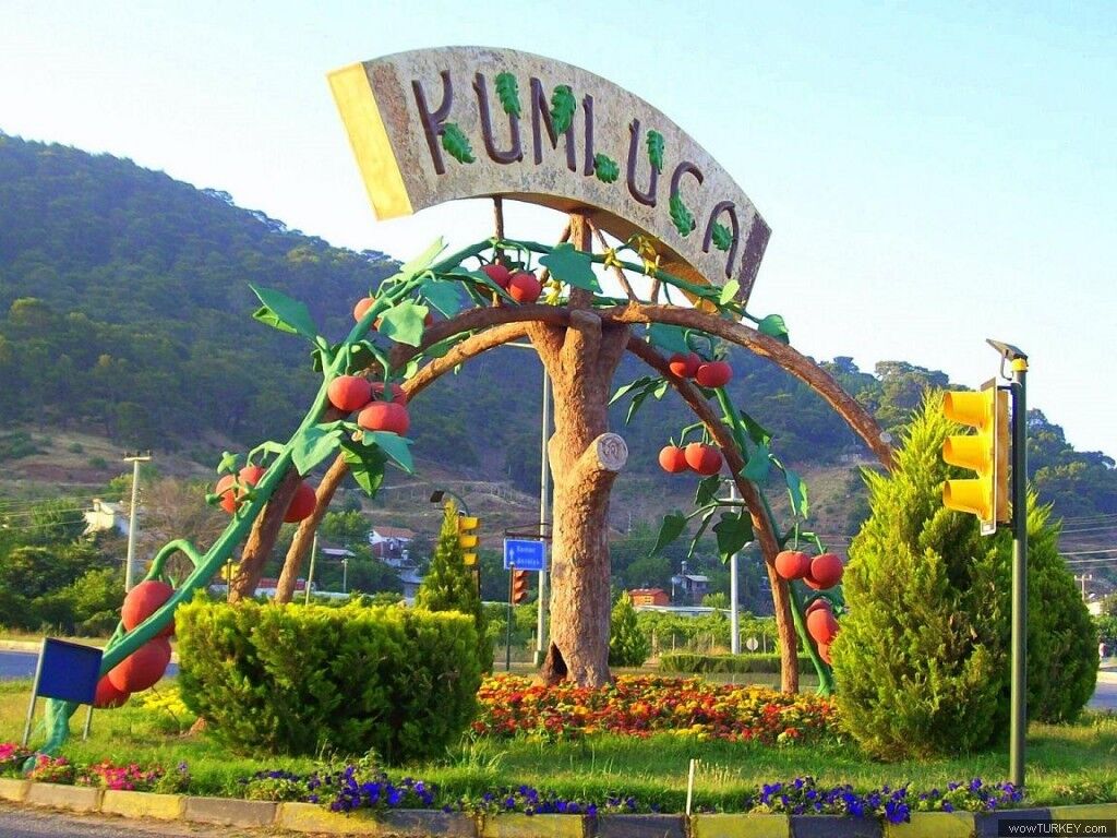 Kumluca’da Çiftçi Krizi! Biber Ve Patlıcan 3 5 Liraya Geriledi (1)