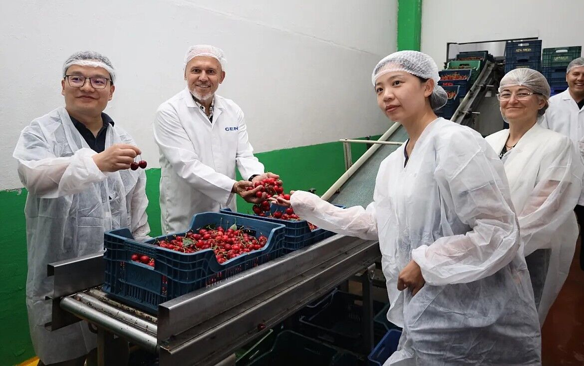 Masrafını Çıkarmayan Kirazın Çin Umudu Suya Düştü (4)