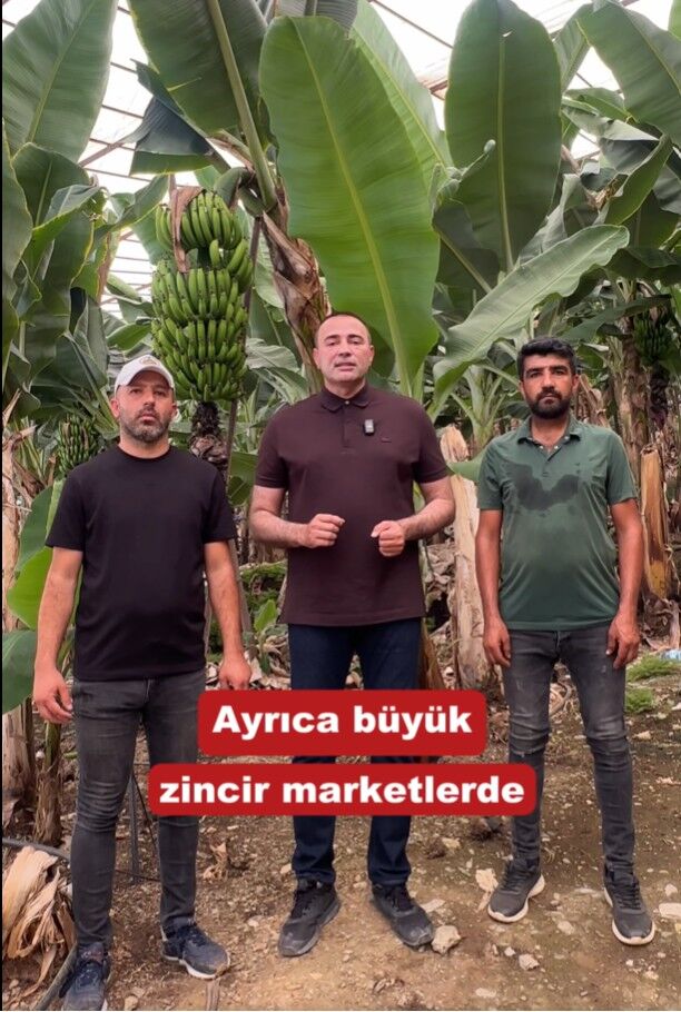 Muz Ureticisini Isyan Ettiren Tablo (1)-2