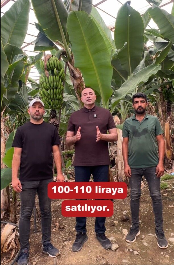Muz Ureticisini Isyan Ettiren Tablo (2)