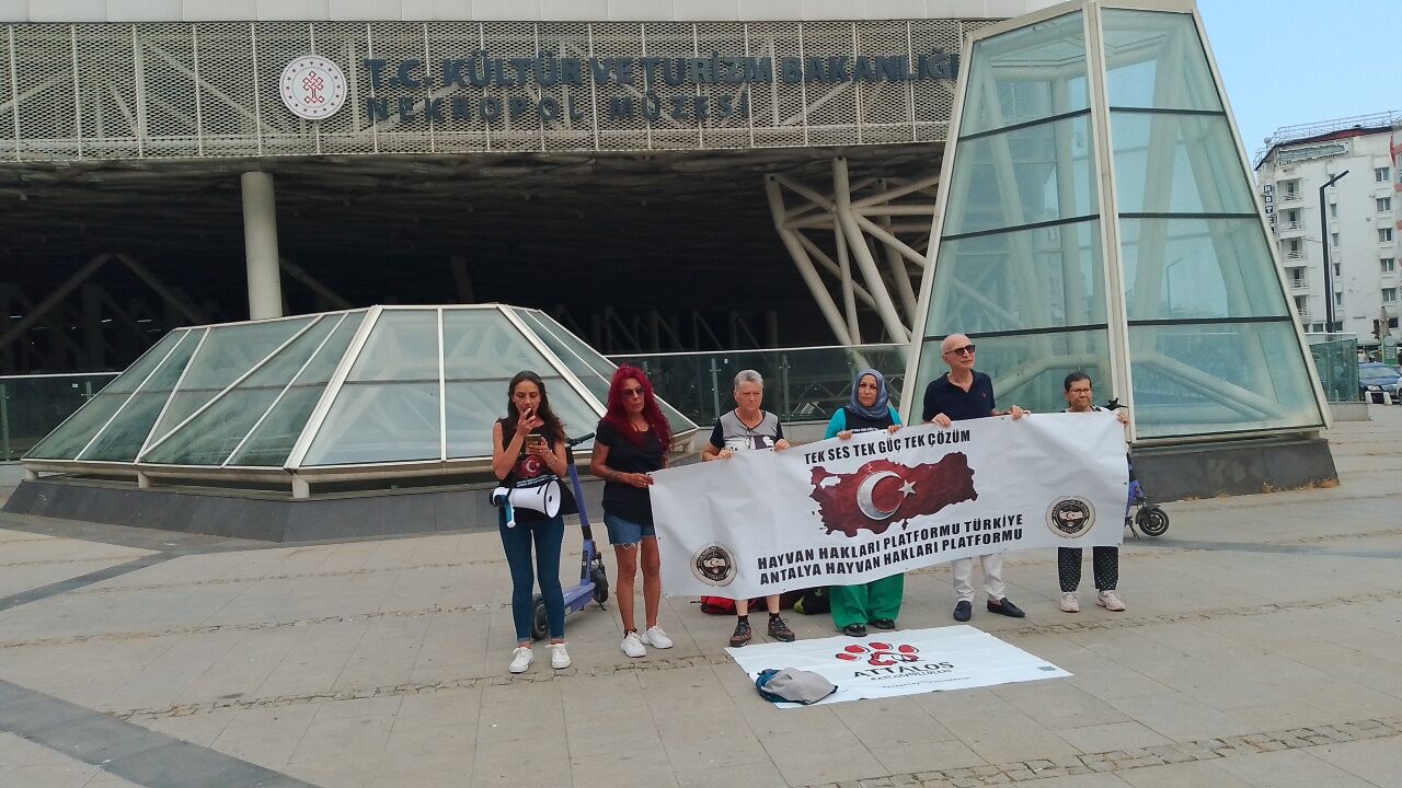 Nekropol Muzesi Kus Olumleri Acikalam