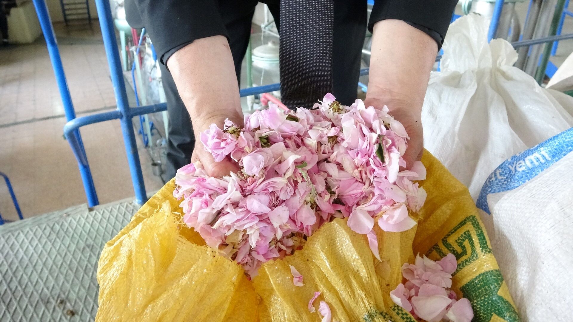 Pembe Hazine O Ile Servet Kazandırıyor (5)