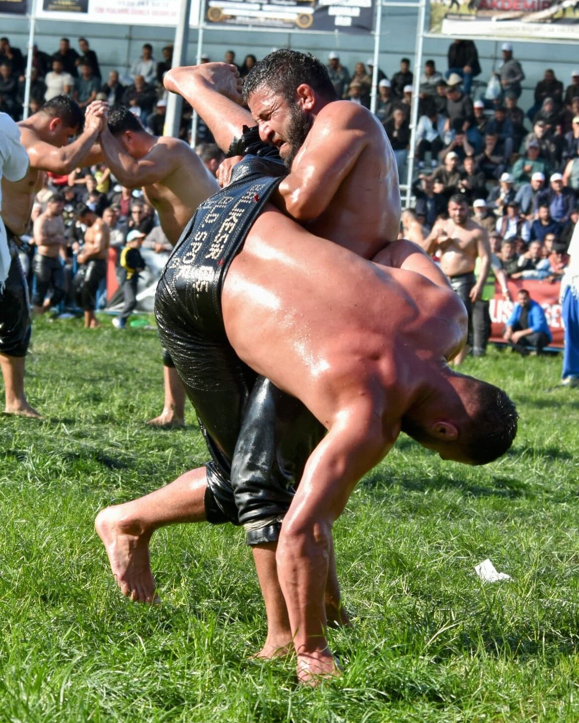 Yagli Gures-8