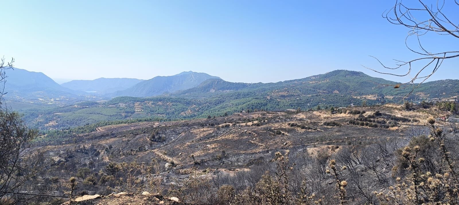 3Antalya’daki Yangından Sonra Korkunç Görüntüler (3)