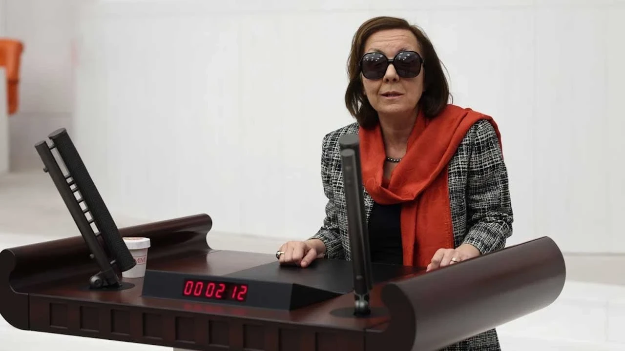 Ak Partili Serap Özbudun’dan ‘Parlamenter Sistem’ Önerisi (1)
