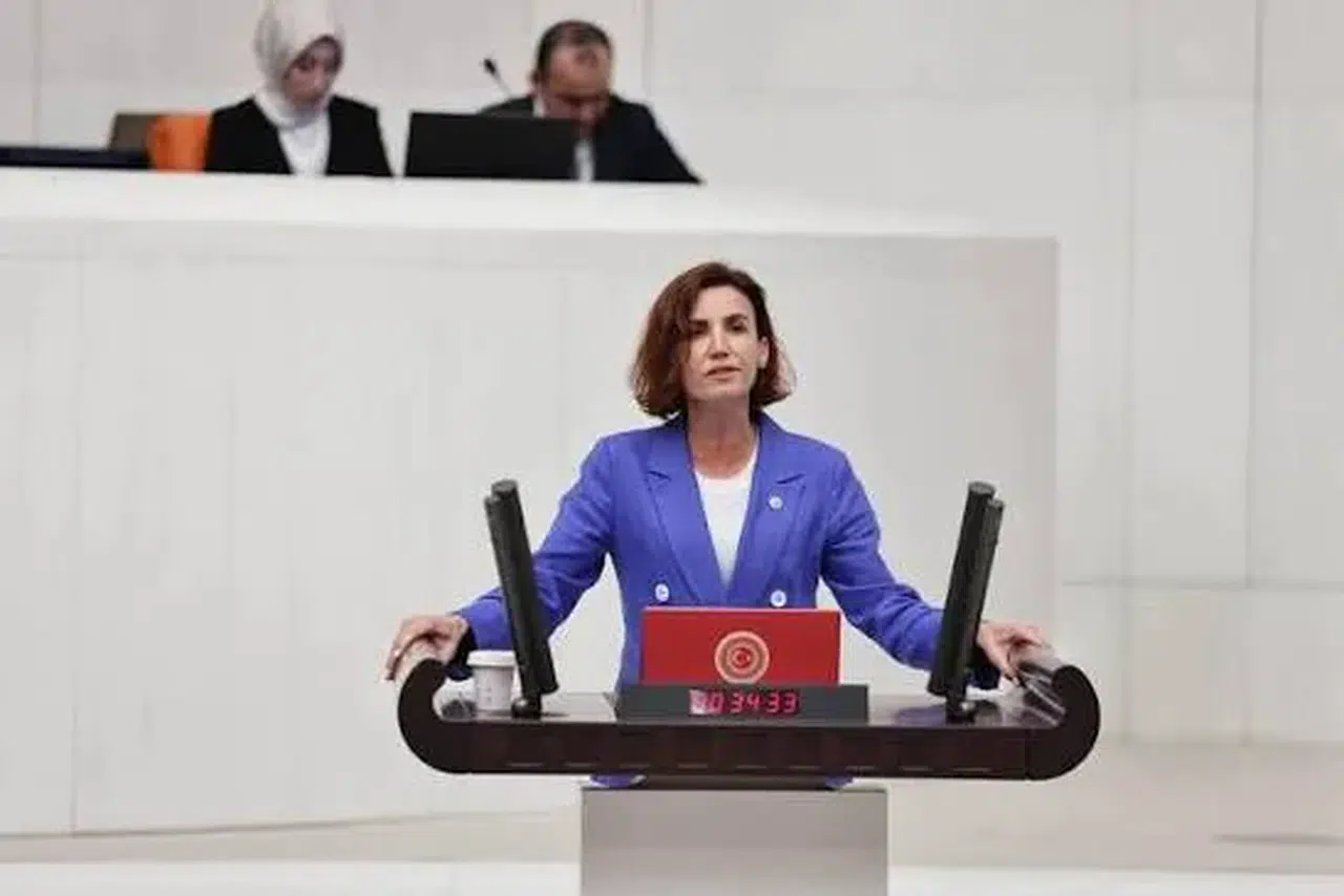 Aliye Cosardan Secim Sureclerine Elestiri Yagmuru (1)