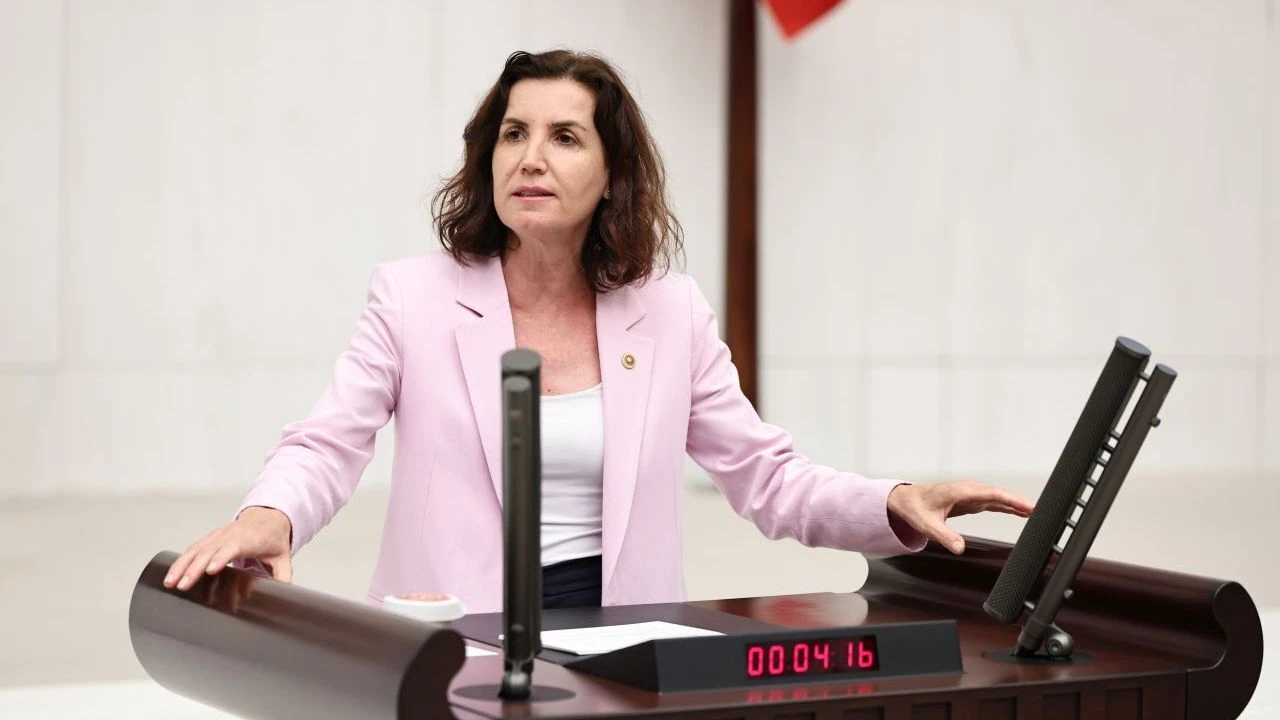 Aliye Cosardan Secim Sureclerine Elestiri Yagmuru (2)-1