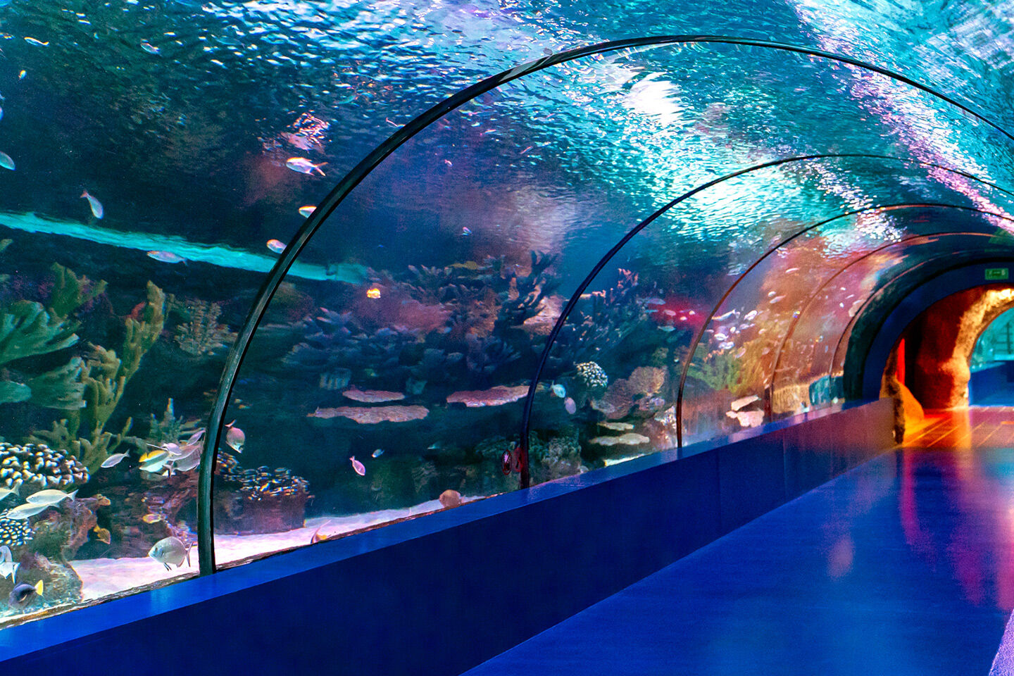 Antalya Akvaryum-2