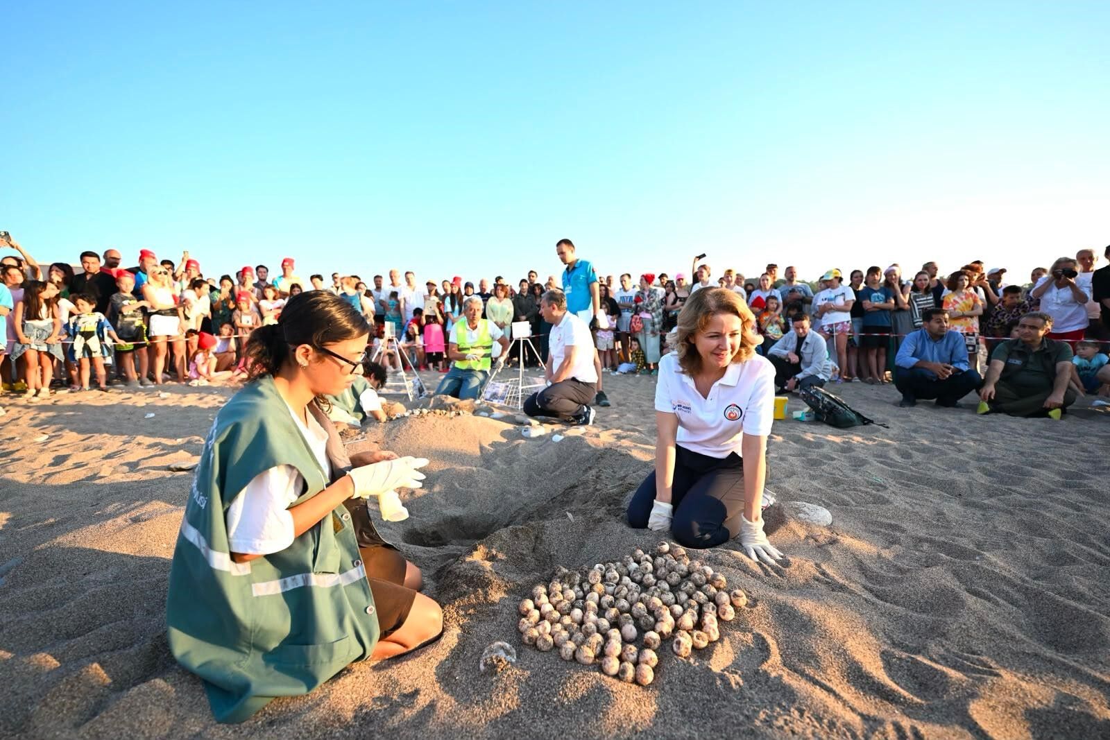 Antalya Çıralı ’Da Caretta Caretta Yavruları Denizle Buluştu (3)