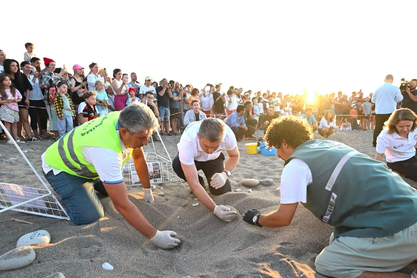 Antalya Çıralı ’Da Caretta Caretta Yavruları Denizle Buluştu (6)