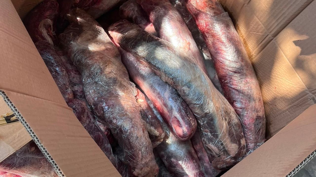 Antalya’da Halk Sağlığı Ile Oynadılar 300 Kilogram Et Imha Edildi (3)
