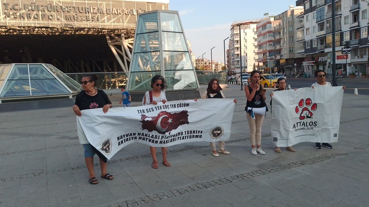 Antalyada Hayvan Haklari Savunuculari 51 Gundur Olum Tuzagi Nobetinde (1)-1