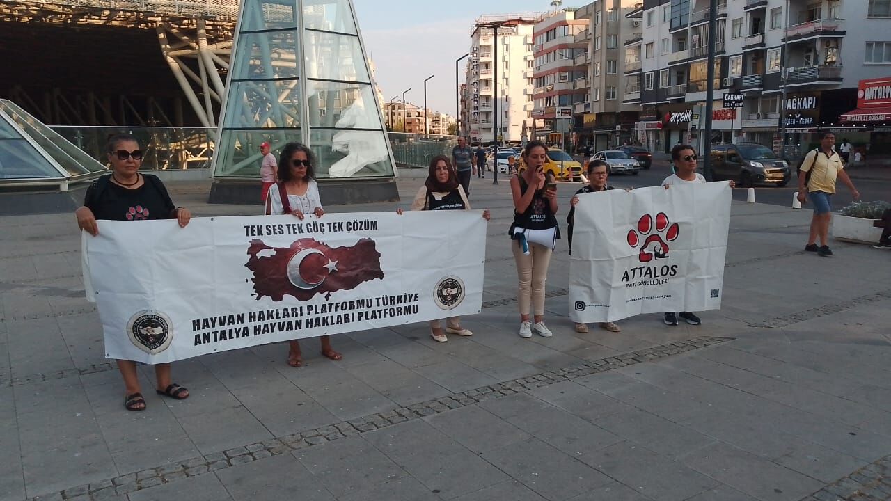 Antalyada Hayvan Haklari Savunuculari 51 Gundur Olum Tuzagi Nobetinde (2)