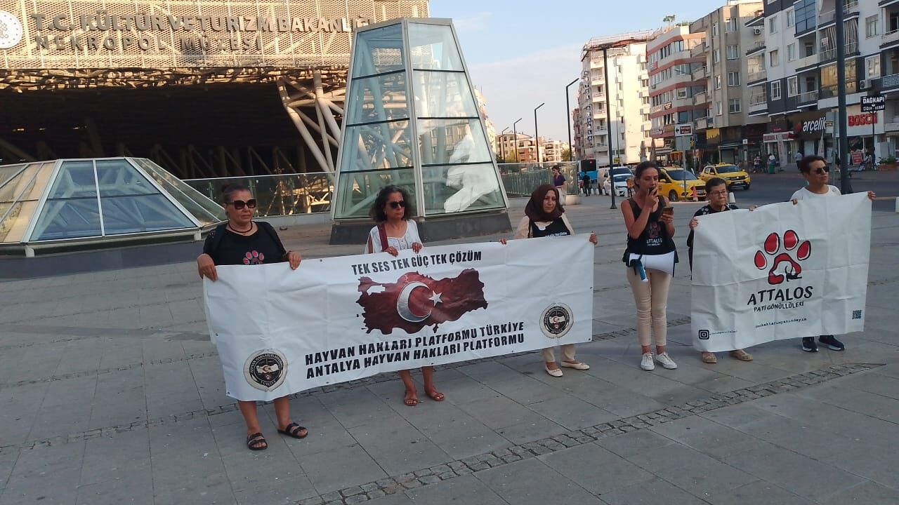 Antalyada Hayvan Haklari Savunuculari 51 Gundur Olum Tuzagi Nobetinde (3)