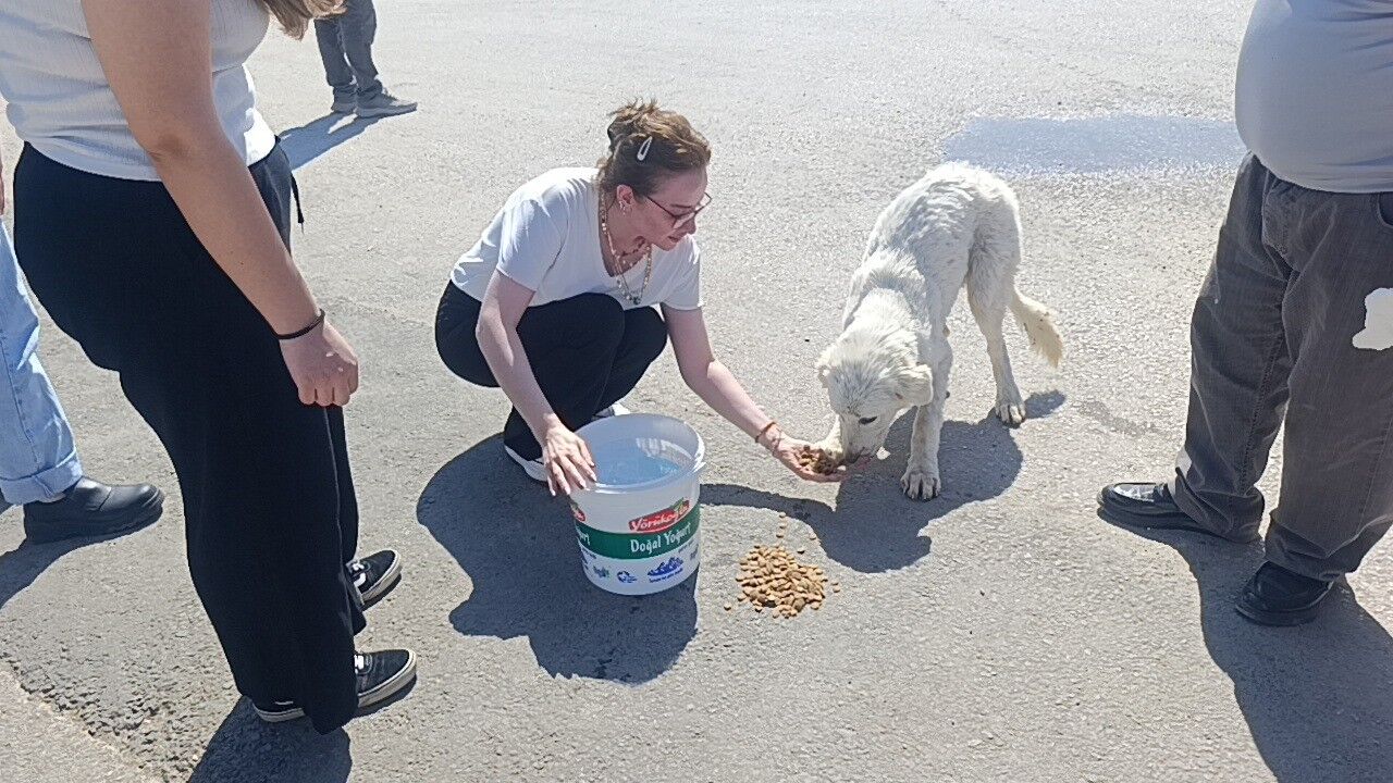 Antalya’da Mahsur Kalan Köpeği Için Gözyaşlarına Boğuldu (6)