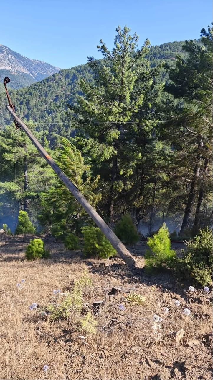 Antalya’daki Orman Yangınlarının Sebebi Elektrik Mi (4)