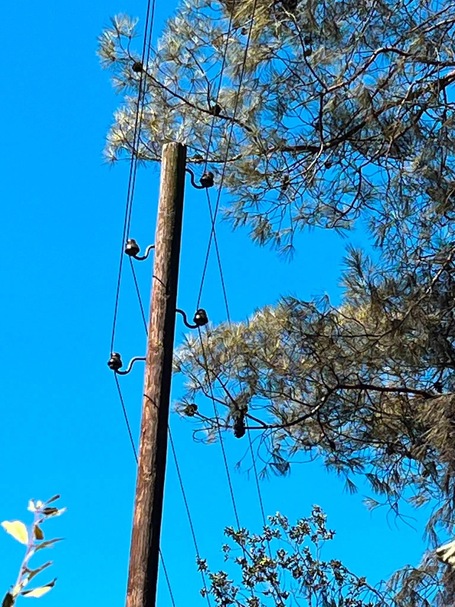 Antalya’daki Orman Yangınlarının Sebebi Elektrik Mi (5)