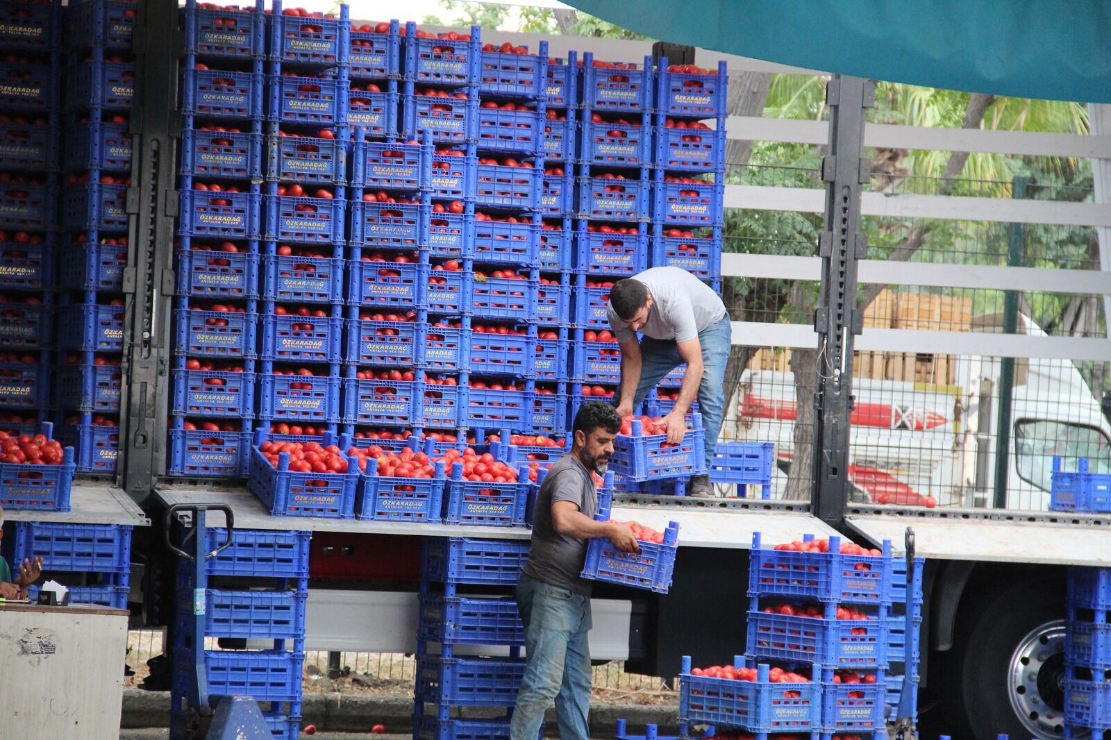 Antalyanın Dev Tarım Firması Battı Mı Antalya Toptancı Halinde Büyük Panik (4)