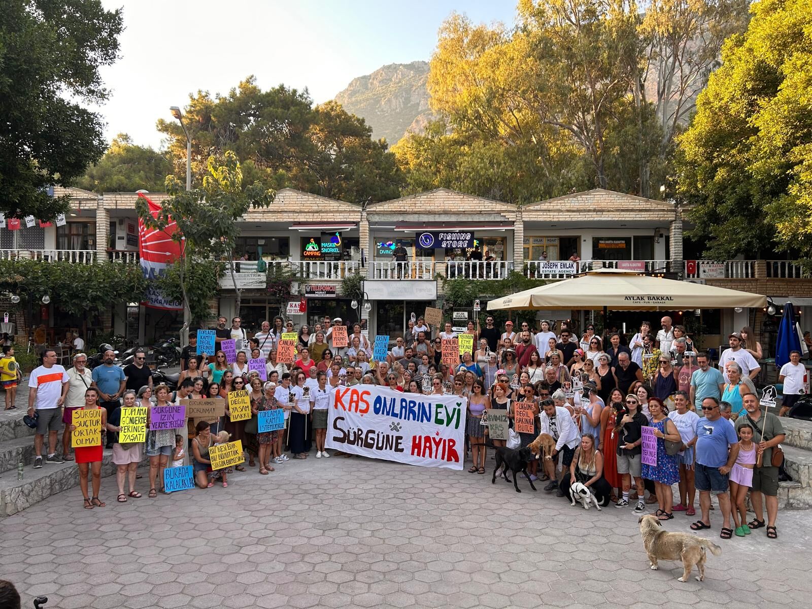Kaş’taki Hayvanseverlerler Toplanan Köpekler Için Endişeli (1)-1