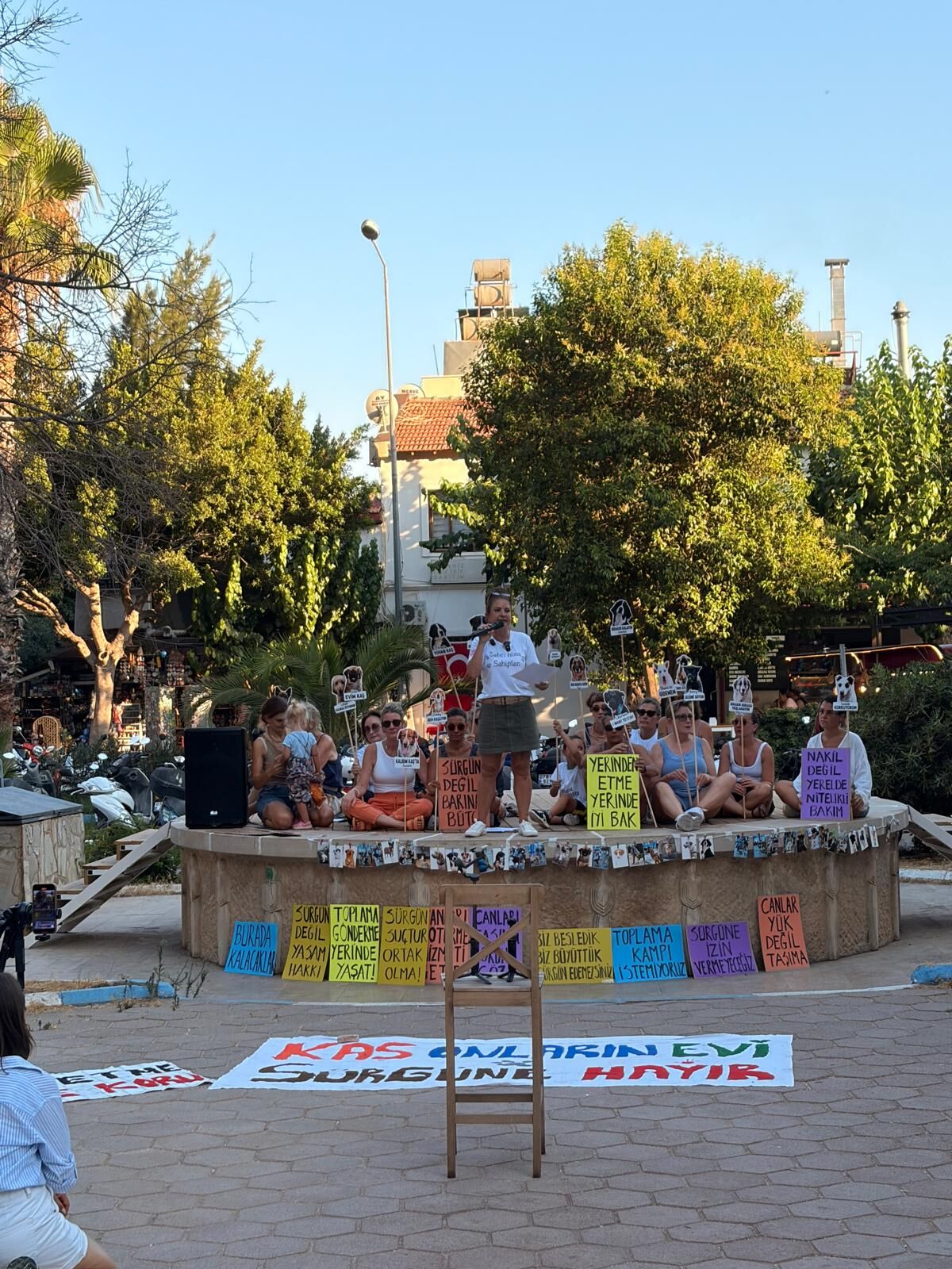 Kaş’taki Hayvanseverlerler Toplanan Köpekler Için Endişeli (2)