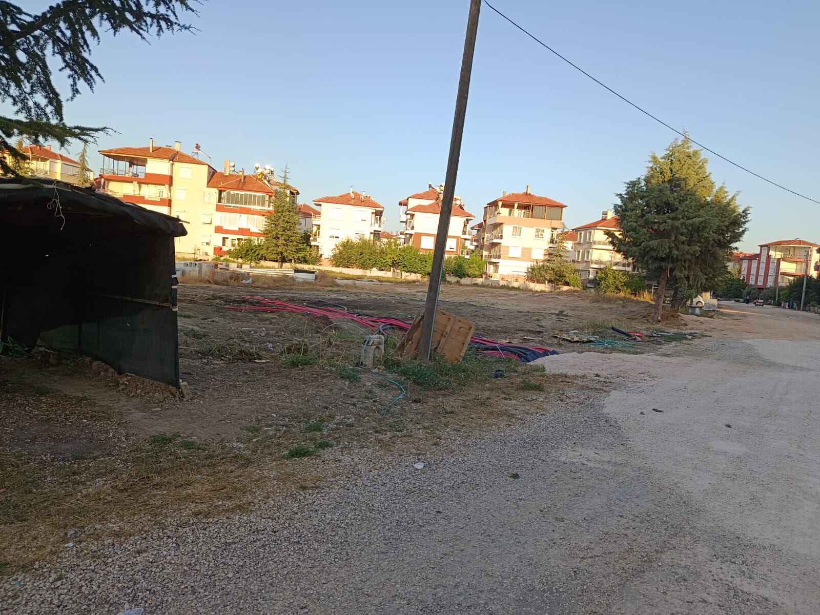 Korkuteli Belediyesi Ağaçları Katletti (1)-1