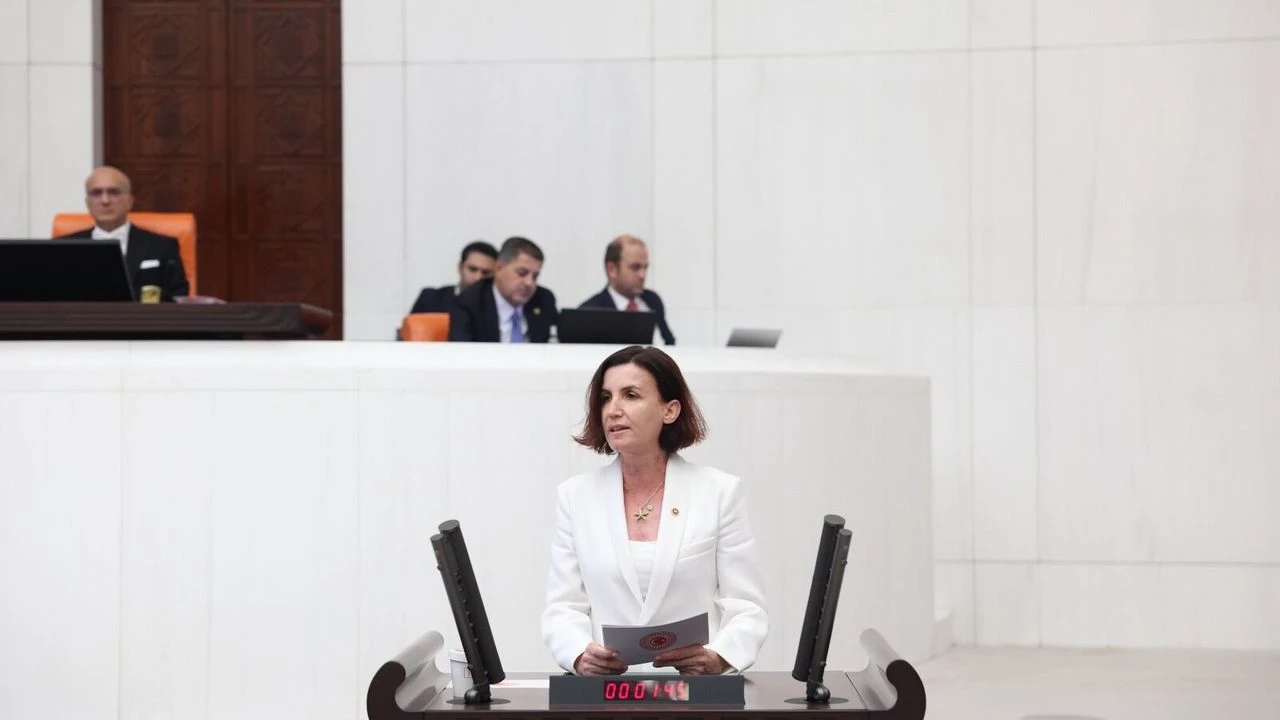 Serikin Mulkiyet Sorunu Mecliste (3)