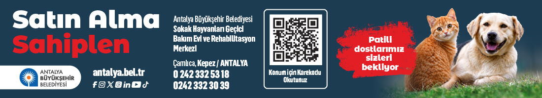 Reklam Bloğu