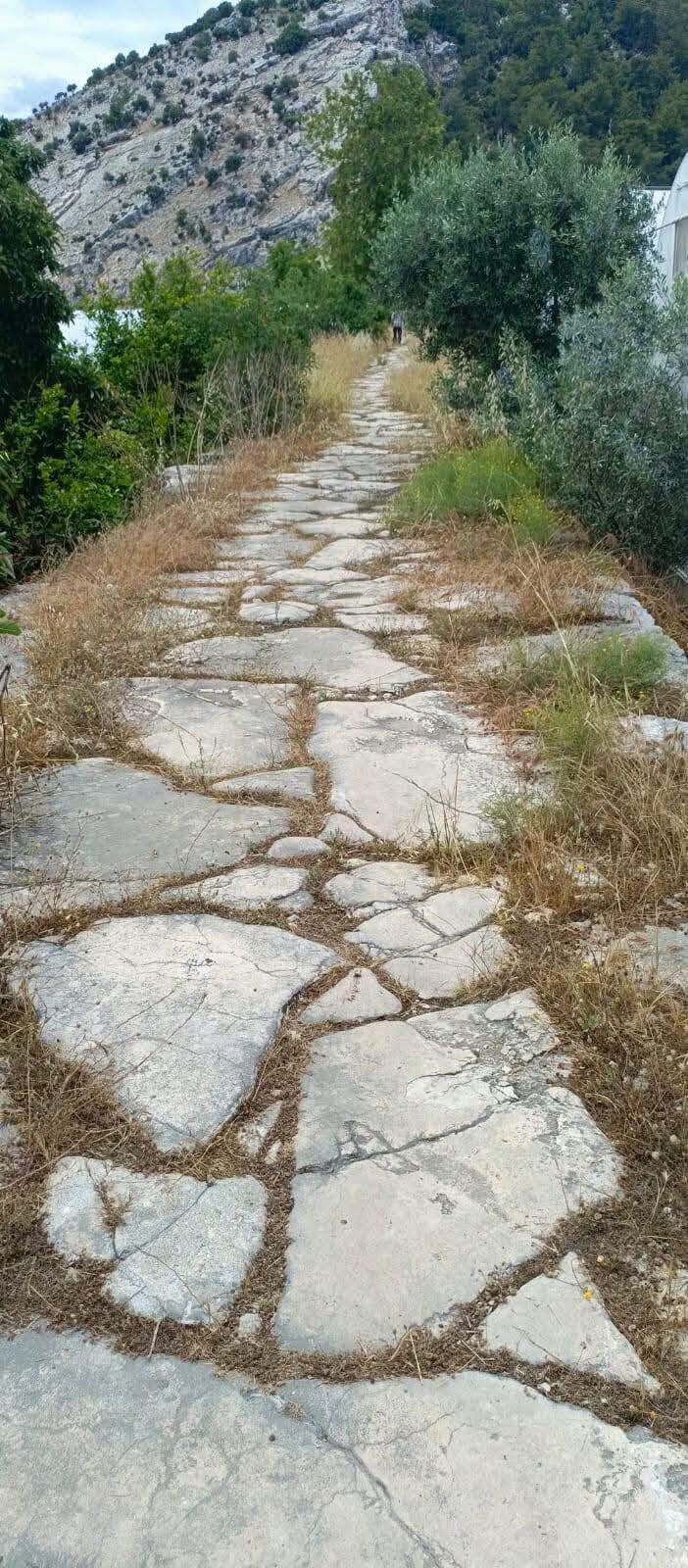 Tarihi Kirkgoz Koprusu Restore Edilecek (4)