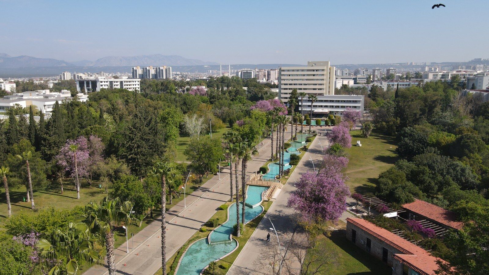 Akdeniz Üniversitesi Ödül Alanları Açıkladı (2)