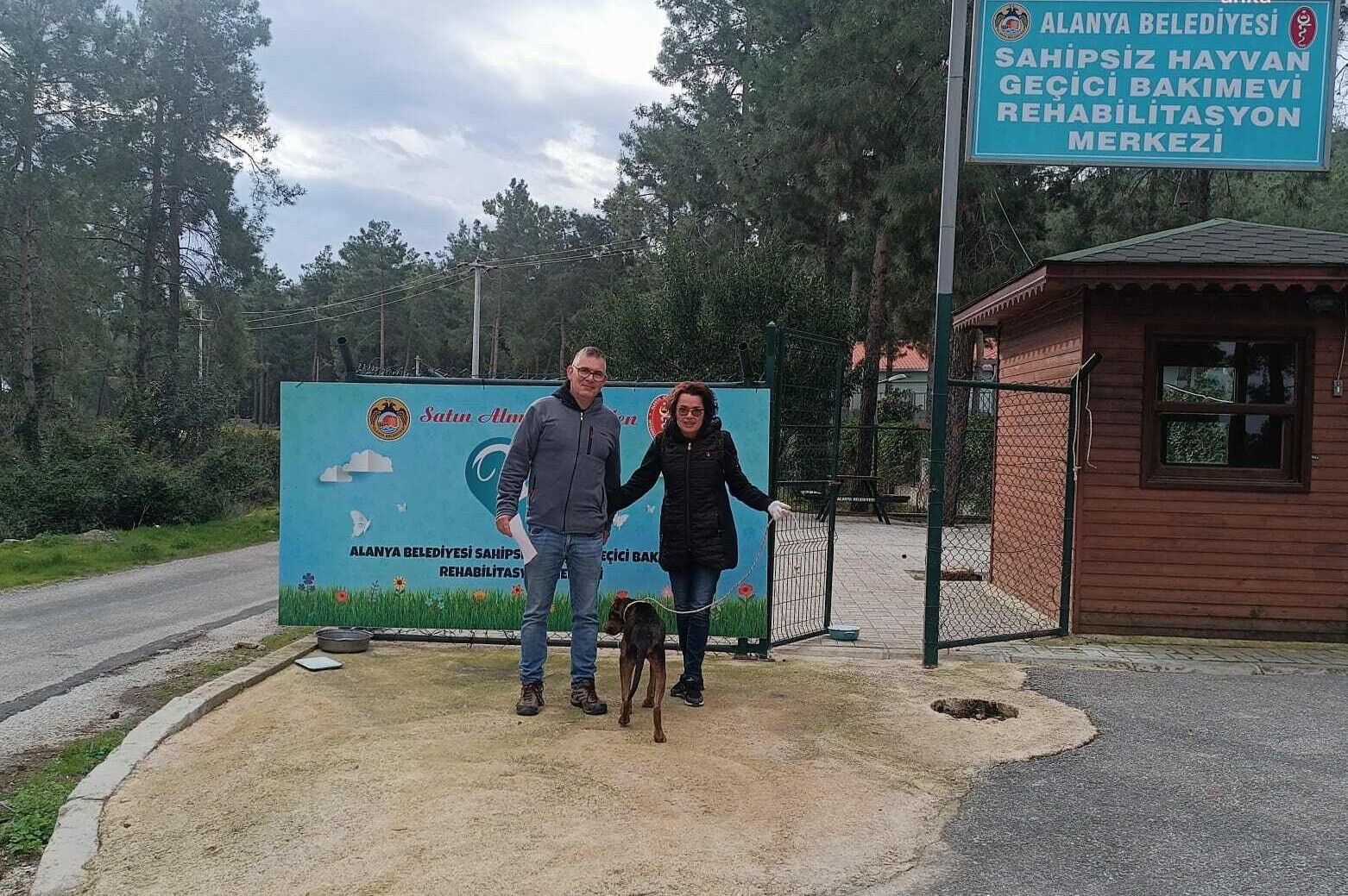 Alanya Belediyesi’nde Hayvan Krizi! 70 Sayfalık Raporda ‘Kayıplar Arttı’ Iddiası (7)