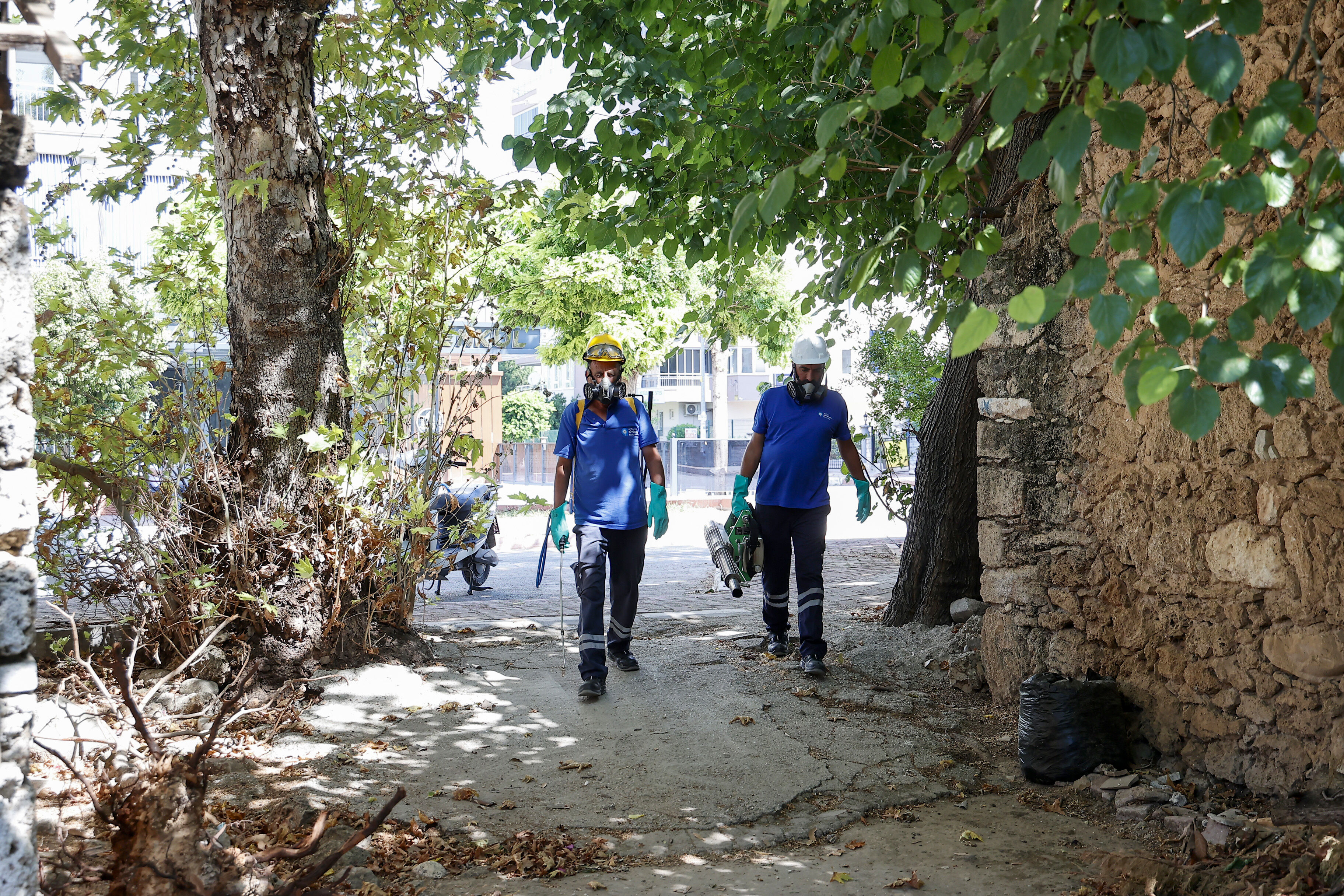 Antalya Büyükşehir Belediyesi’nden Dip Bucak Ilaçlama (1)