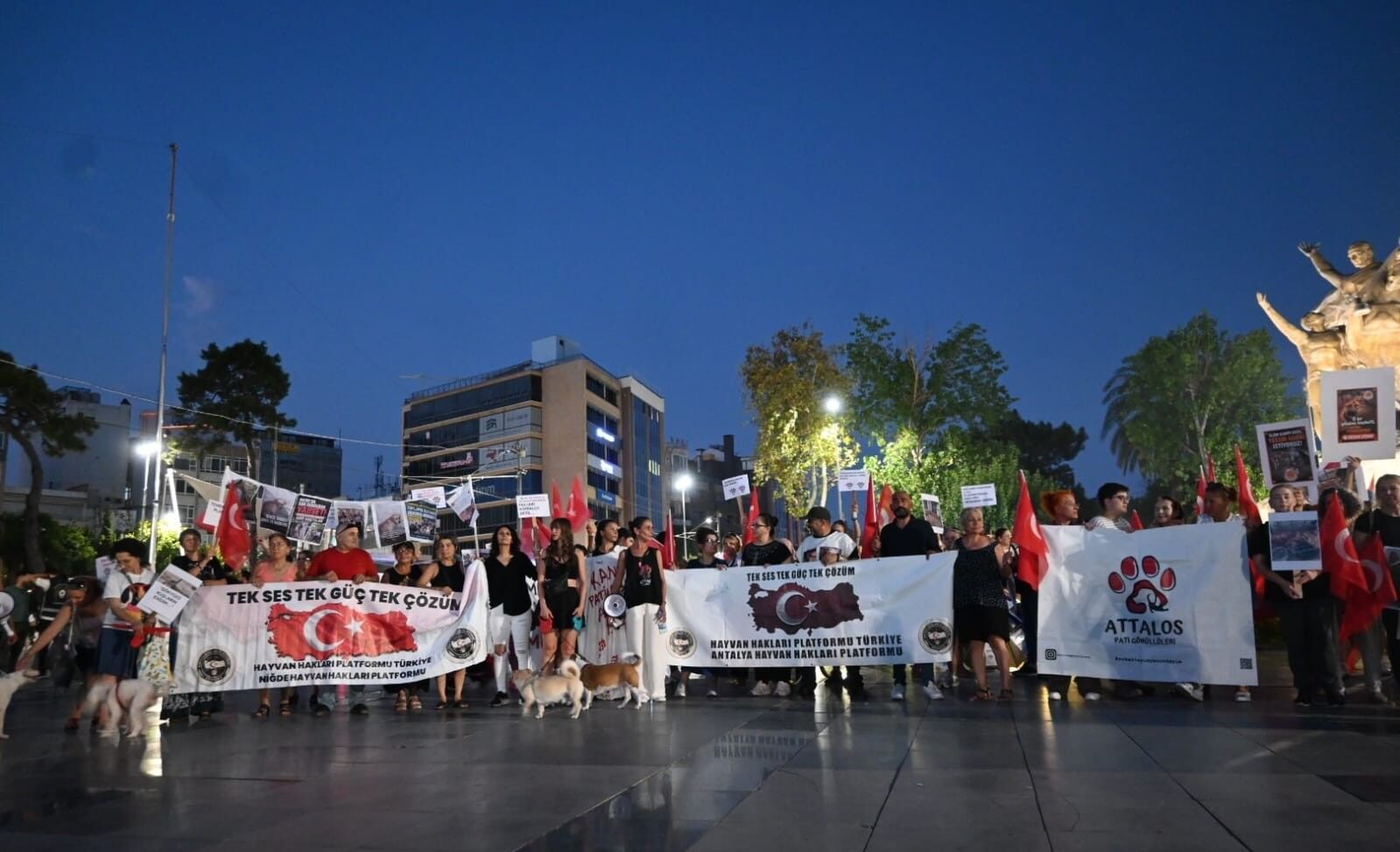 Antalya Da Ki Eylem