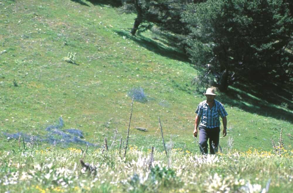 Antalya Ile Burdur Arasındaki 10 Yıllık Yayla Krizi Tbmm’de (2)