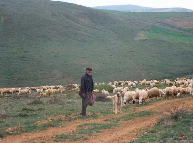 Antalya Ile Burdur Arasındaki 10 Yıllık Yayla Krizi Tbmm’de (5)