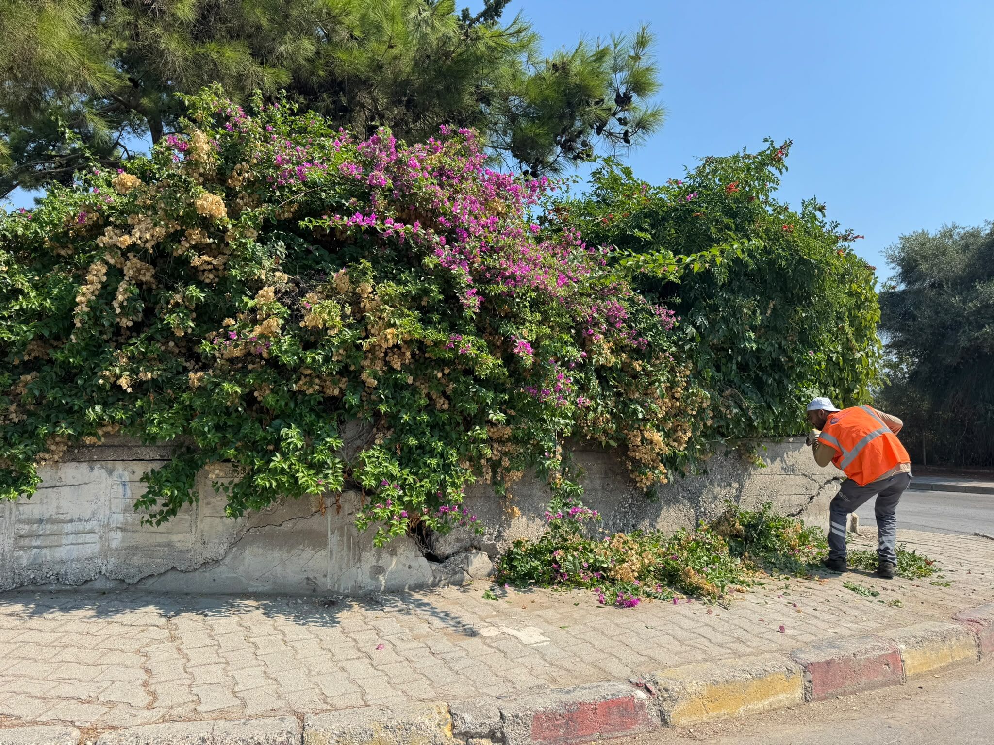 Antalya Kemer’de Genel Temizlik Ve Bakım Yapıldı (3)