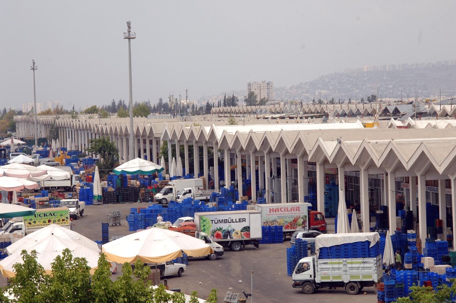 Antalya Toptancı Hali’ndeki Dev Bir Firma Daha Konkordato Ilan Etti (2)