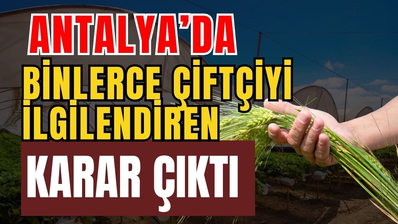 Antalya’da binlerce çiftçiyi ilgilendiren karar çıktı