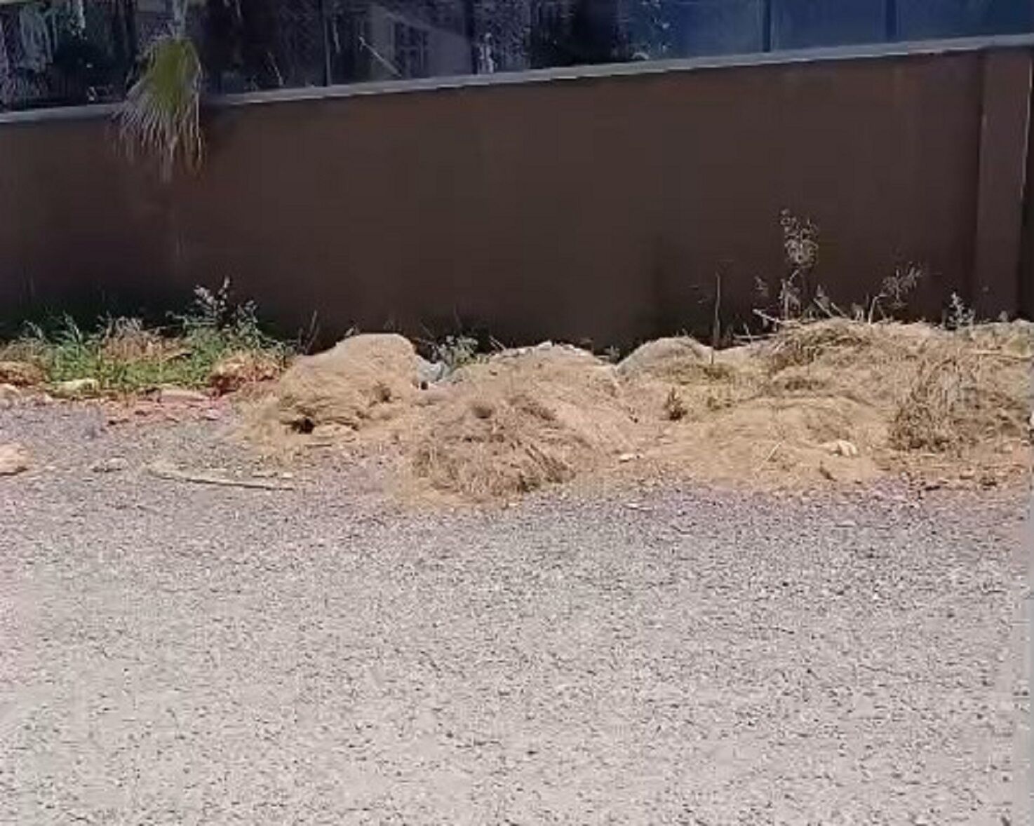 Antalya’da Çöp Isyanı! Altıntaş Yangına Davetiye Çıkarıyor (7)