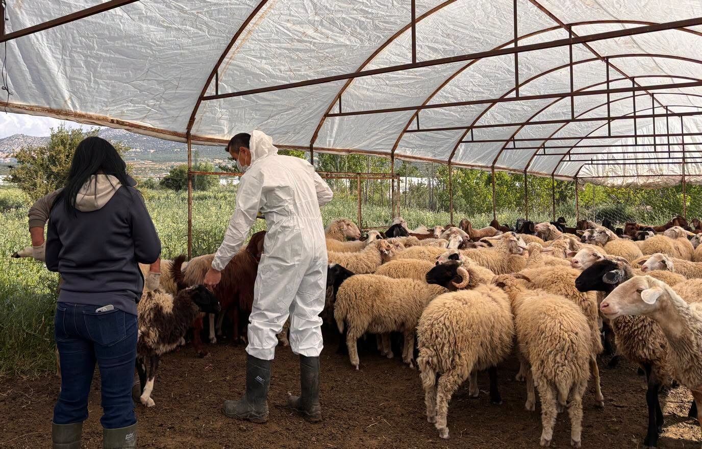 Antalya’da Karantinaya Alınan Mahallenin Son Durumu Belli Oldu (4)