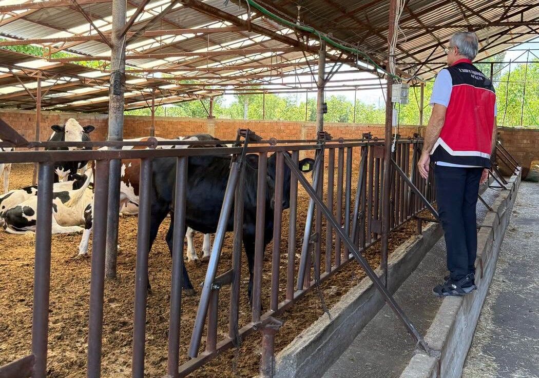 Antalya’da Şap Alarmı! Bir Mahalle Karantinaya Alındı (2)
